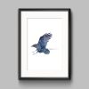 Raven Print Framed