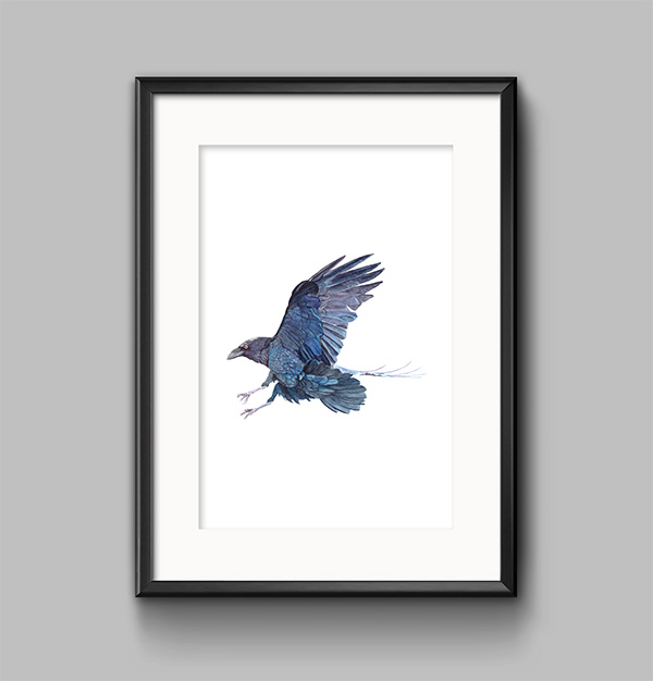 flying raven art
